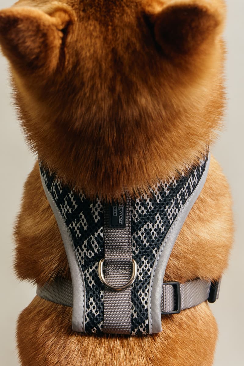 KITH wagwear First Pet Collection Release Info