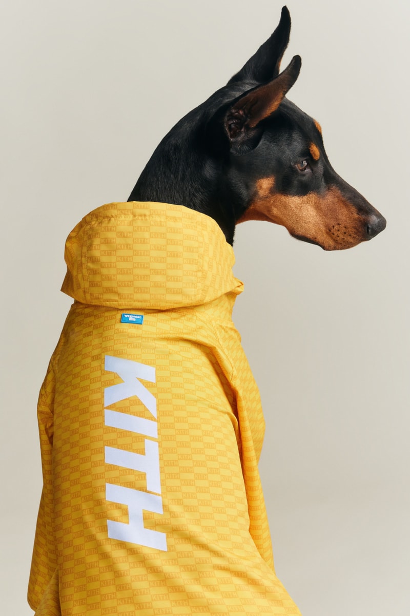 KITH wagwear First Pet Collection Release Info