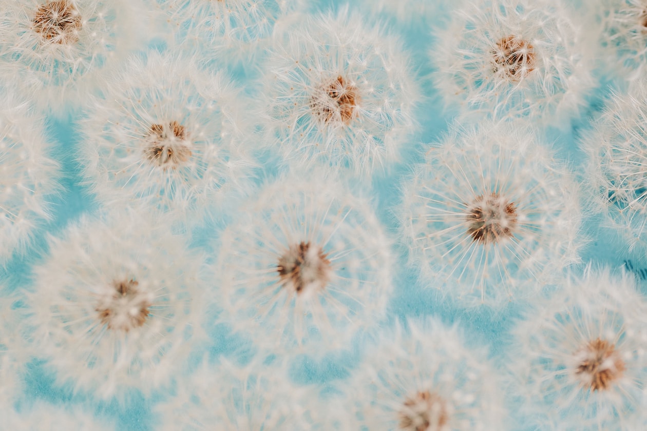 DRIFT Museum 聯合創辦人 Lonneke Gordijn 與 Ralph Nauta 於阿姆斯特丹 Van Gendt Hallen