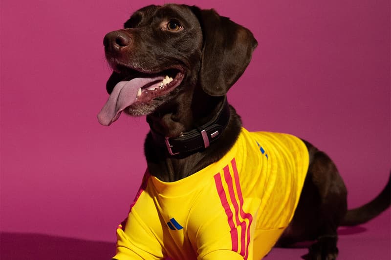 adidas 2026 FIFA World Cup Pet Collection Release Info