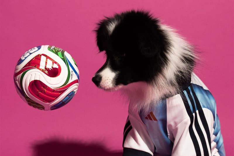 adidas 2026 FIFA World Cup Pet Collection Release Info