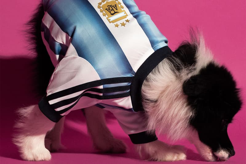 adidas 2026 FIFA World Cup Pet Collection Release Info