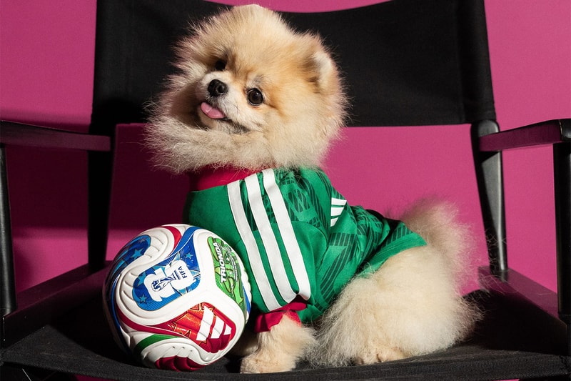 adidas 2026 FIFA World Cup Pet Collection Release Info