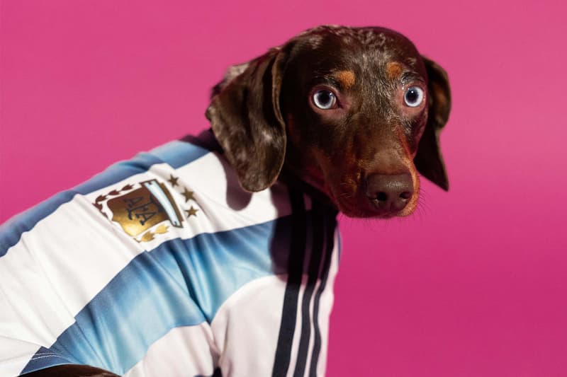 adidas 2026 FIFA World Cup Pet Collection Release Info
