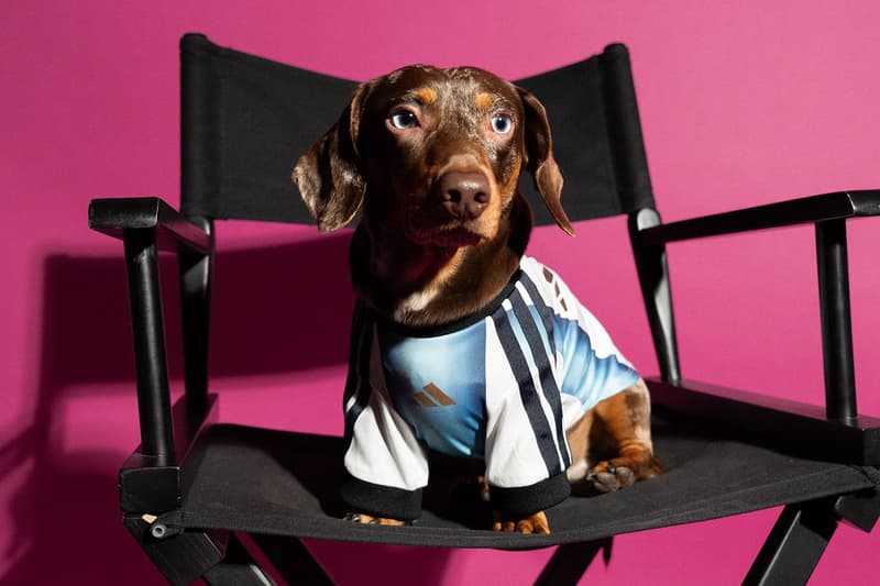 adidas 2026 FIFA World Cup Pet Collection Release Info