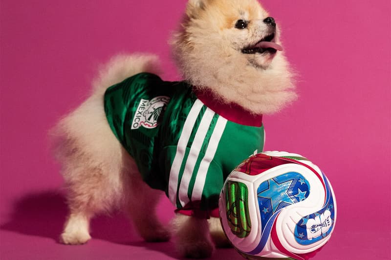 adidas 2026 FIFA World Cup Pet Collection Release Info