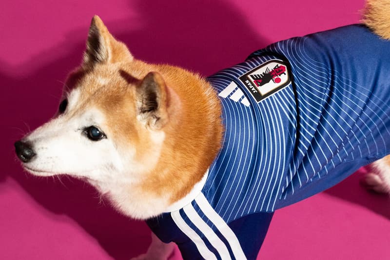 adidas 2026 FIFA World Cup Pet Collection Release Info