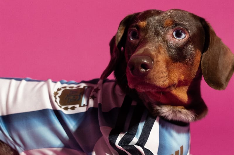 8 Drops You Don't Want to Miss This Week edison chen CLOT adidas Mundial collection chinese new year jacket kith wagwear fifa world cup pet barbour new era mountain hardware beams house of errors thisisneverthat starbucks chinese 