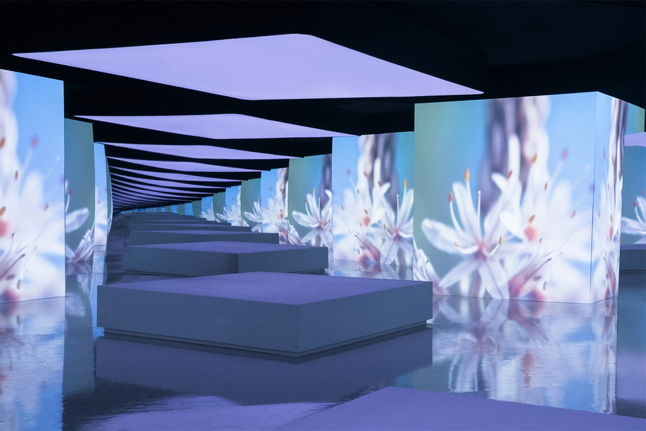 Storey Studio Created a Walkthrough 