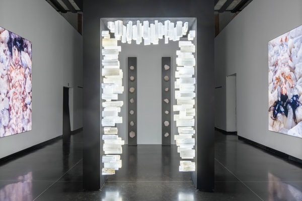 Marina Abramović Transforming Energy Gallerie dell’Accademia Venice Art Artworks