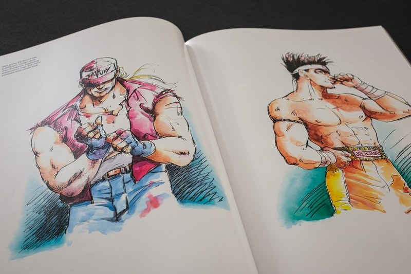 Bitmap Books 'Fatal Fury/Garou Densetsu: The Ultimate History' Book Release Info