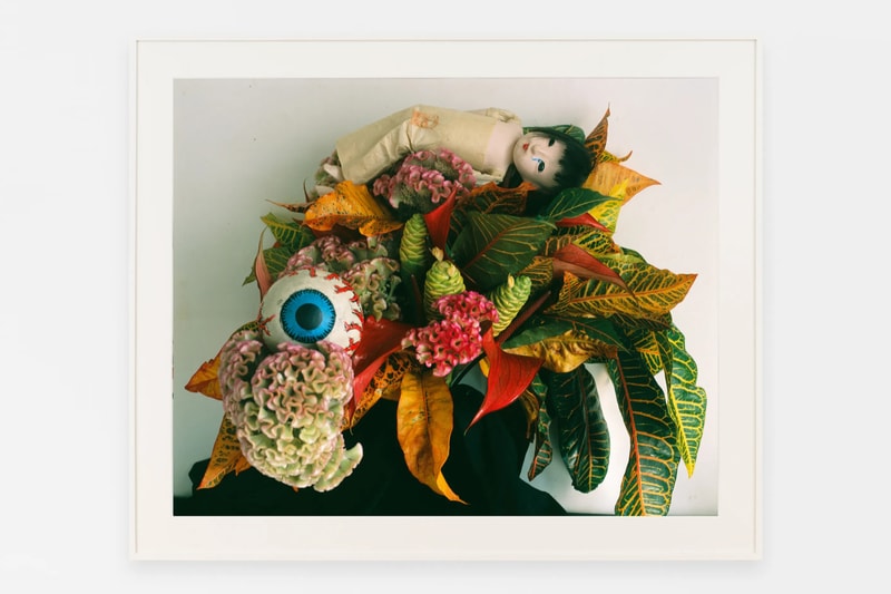Roe Ethridge Nobuyoshi Araki Anton Kern Gallery New York Art Artworks