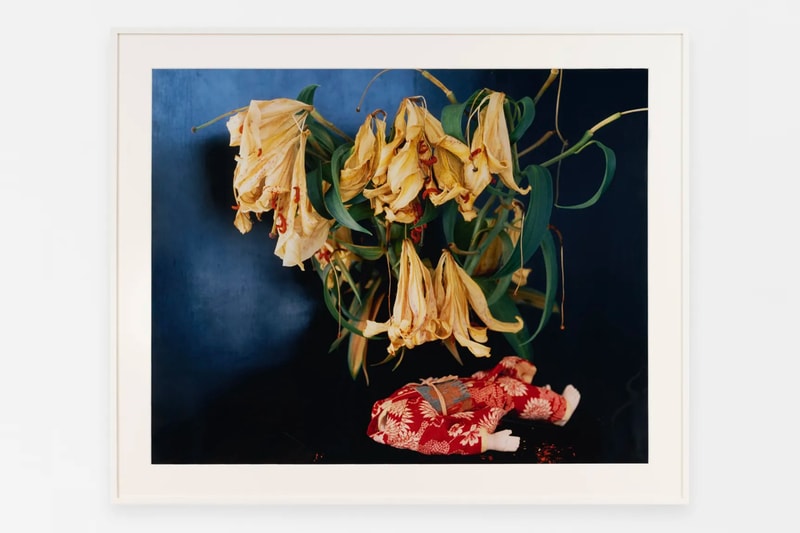 Roe Ethridge Nobuyoshi Araki Anton Kern Gallery New York Art Artworks