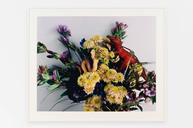Roe Ethridge Nobuyoshi Araki Anton Kern Gallery New York Art Artworks