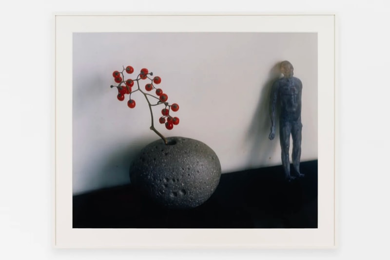 Roe Ethridge Nobuyoshi Araki Anton Kern Gallery New York Art Artworks