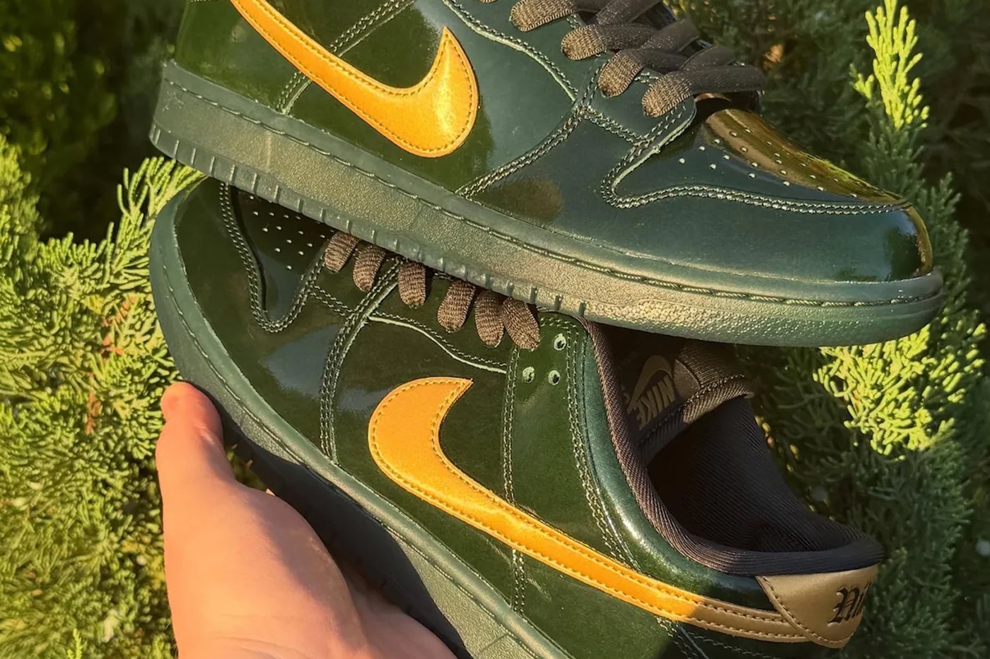 Nike SB Dunk Low "Green Patent" Black Spruce/Metallic Gold-Black-Bright Ceramic first look Q0431-300