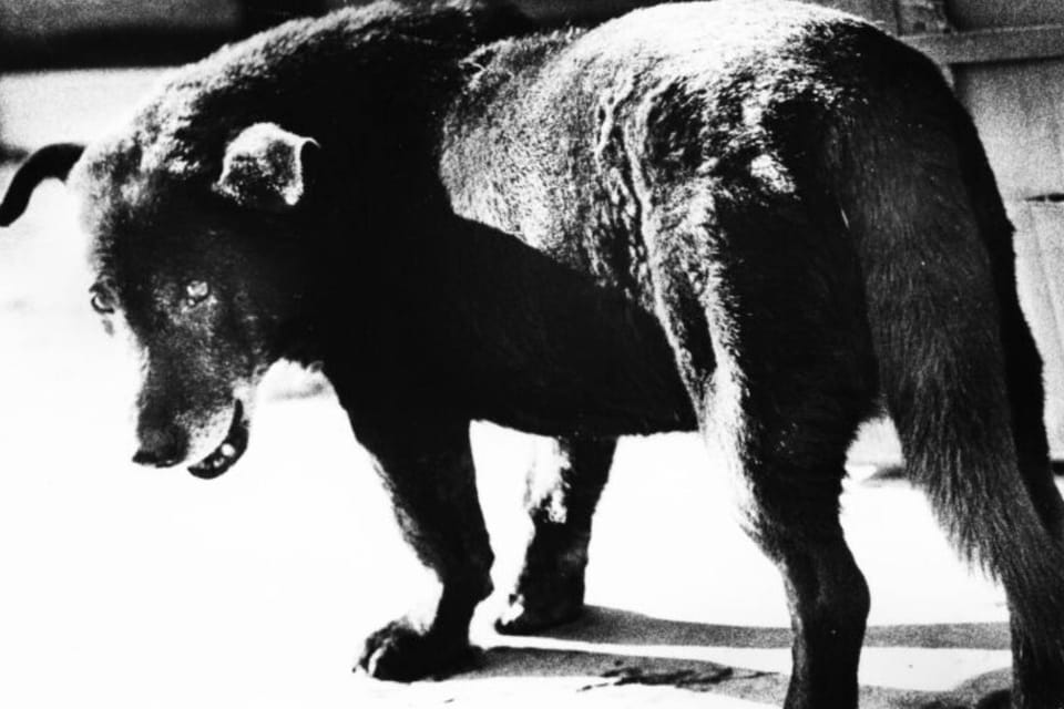 hypebeast.com - Zoe Leung - Fondation Henri Cartier-Bresson Unveils Dual Photography Exhibitions in Paris