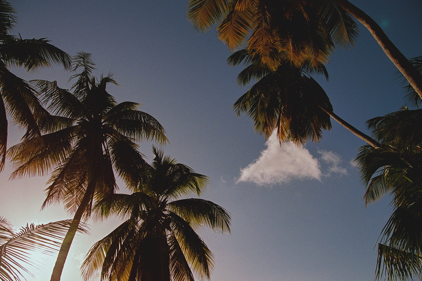 Kith Women Summer Escape summer 2026 Campaign release Info