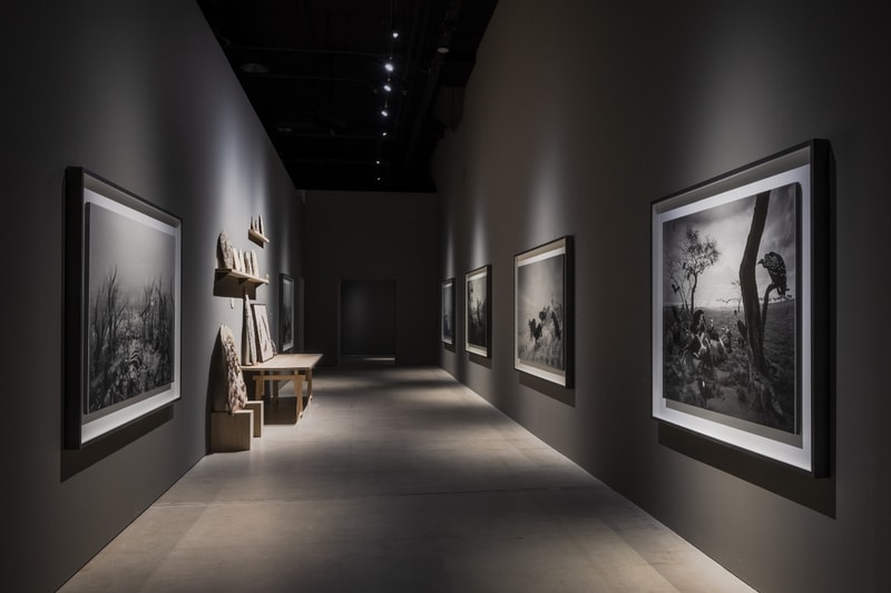 Hiroshi Sugimoto 'Form Is Emptiness' First Major Exhibition Singapore Art Museum Info