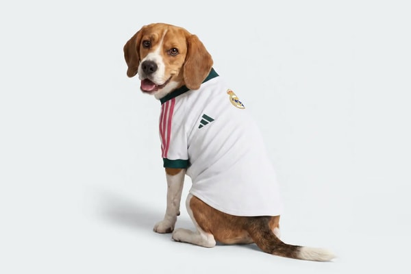 adidas Originals Unveils UEFA Champions League Soccer Jerseys for Dogs manchester united liverpool fc real madrid
