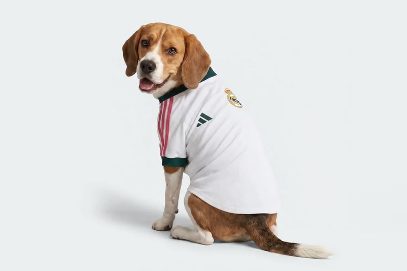 adidas Originals Unveils UEFA Champions League Soccer Jerseys for Dogs manchester united liverpool fc real madrid