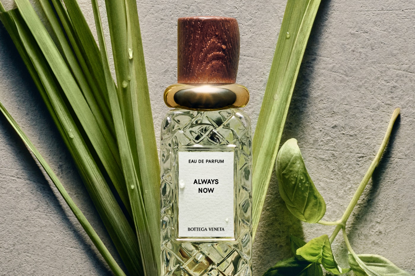 Bottega Veneta Fragrances Alta Collection Always Now Montebello Balliamo Bare Morning Slow Rise Ricordami Moment After Night Sounds Velvet Steps Crepuscolo Release Info