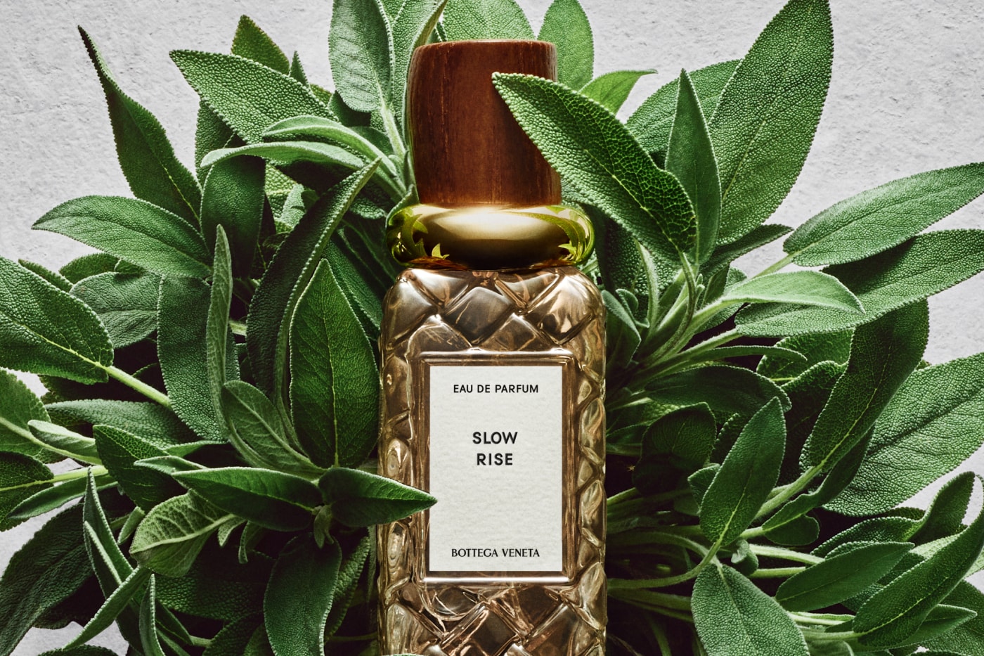 Bottega Veneta Fragrances Alta Collection Always Now Montebello Balliamo Bare Morning Slow Rise Ricordami Moment After Night Sounds Velvet Steps Crepuscolo Release Info