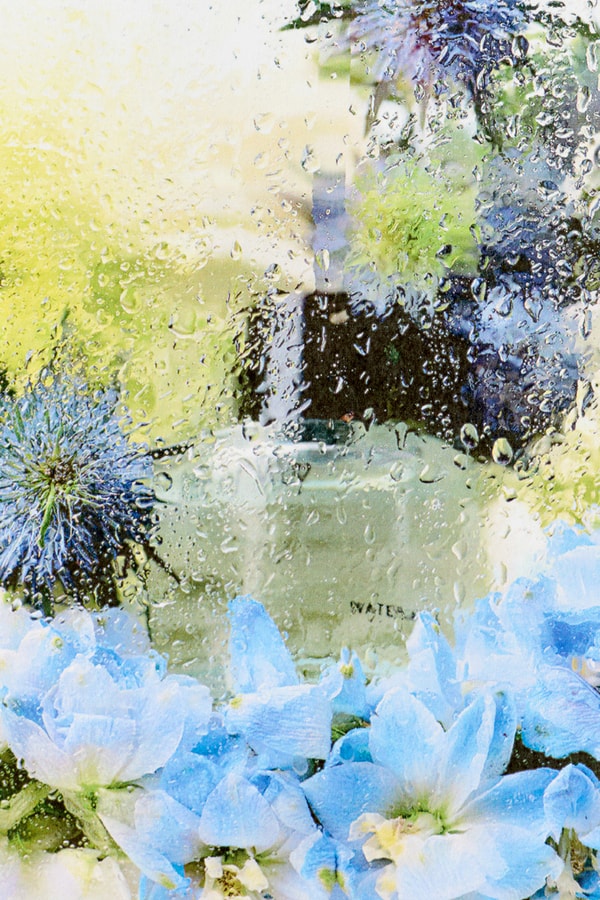 Rite of Way Waterfall Scent Set Exploration Release Info