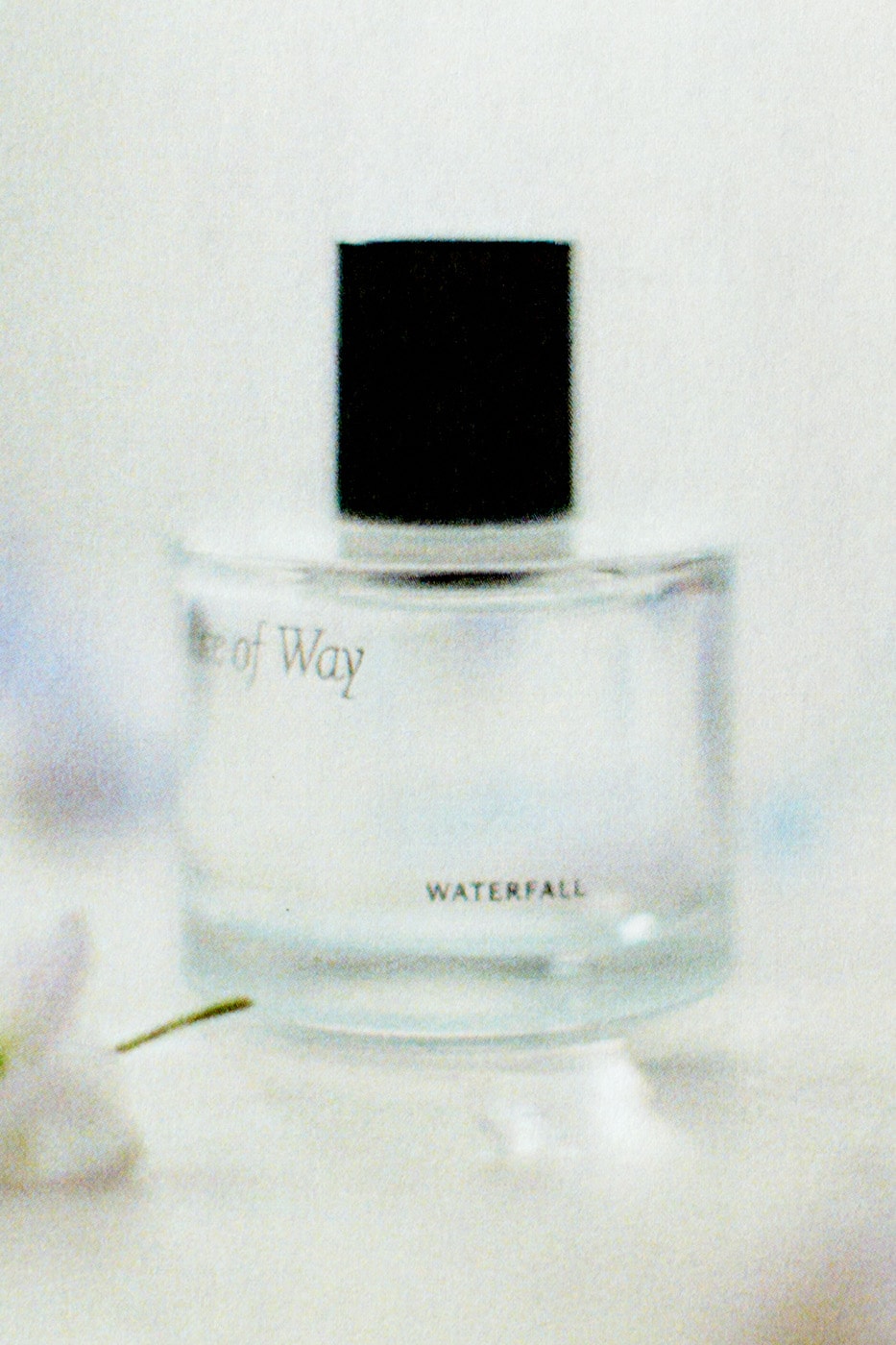Rite of Way Waterfall Scent Set Exploration Release Info