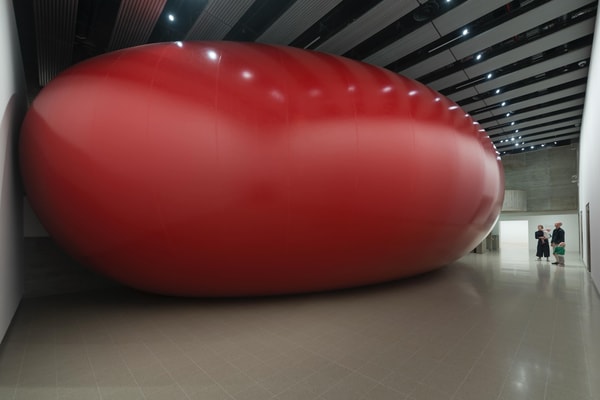 Anish Kapoor Retrospective at Hayward Gallery London Art Artworks
