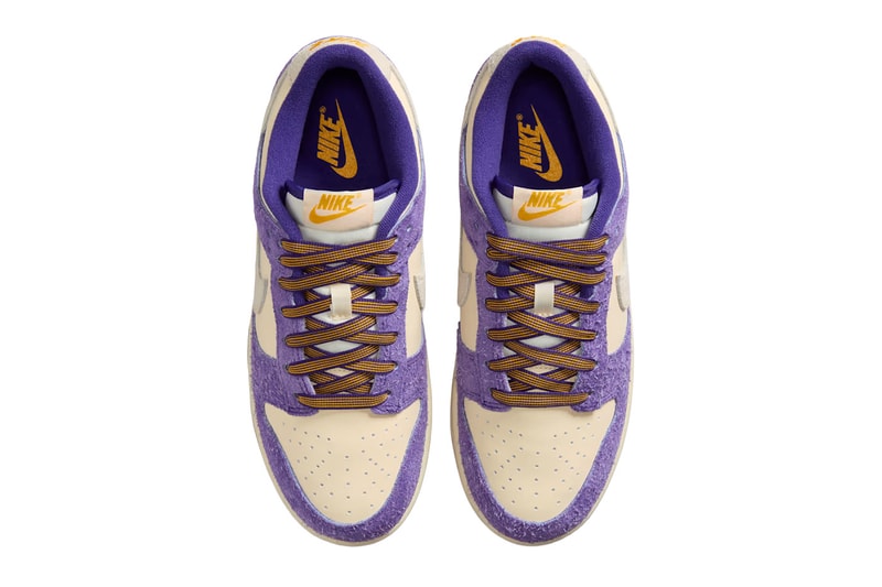 Nike Dunk Low Game Day IV5731-547 Release Info