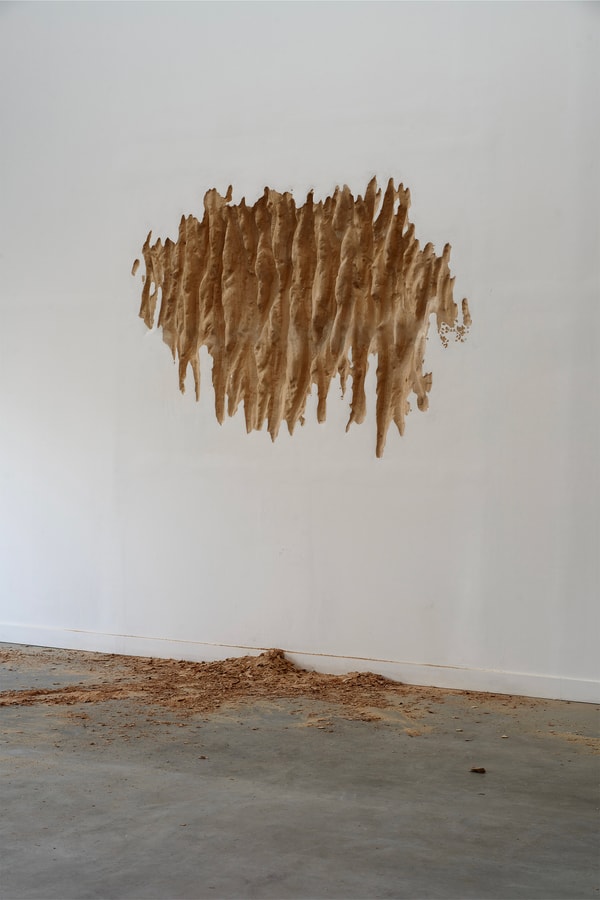 Taiki Yokote CON_ parcel Tokyo Exhibitions Art Artworks