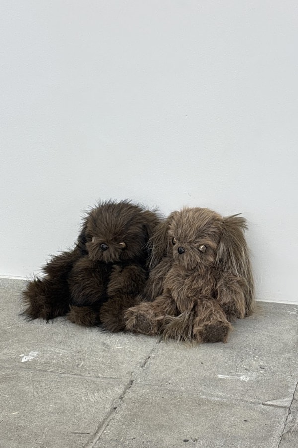 Taiki Yokote CON_ parcel Tokyo Exhibitions Art Artworks
