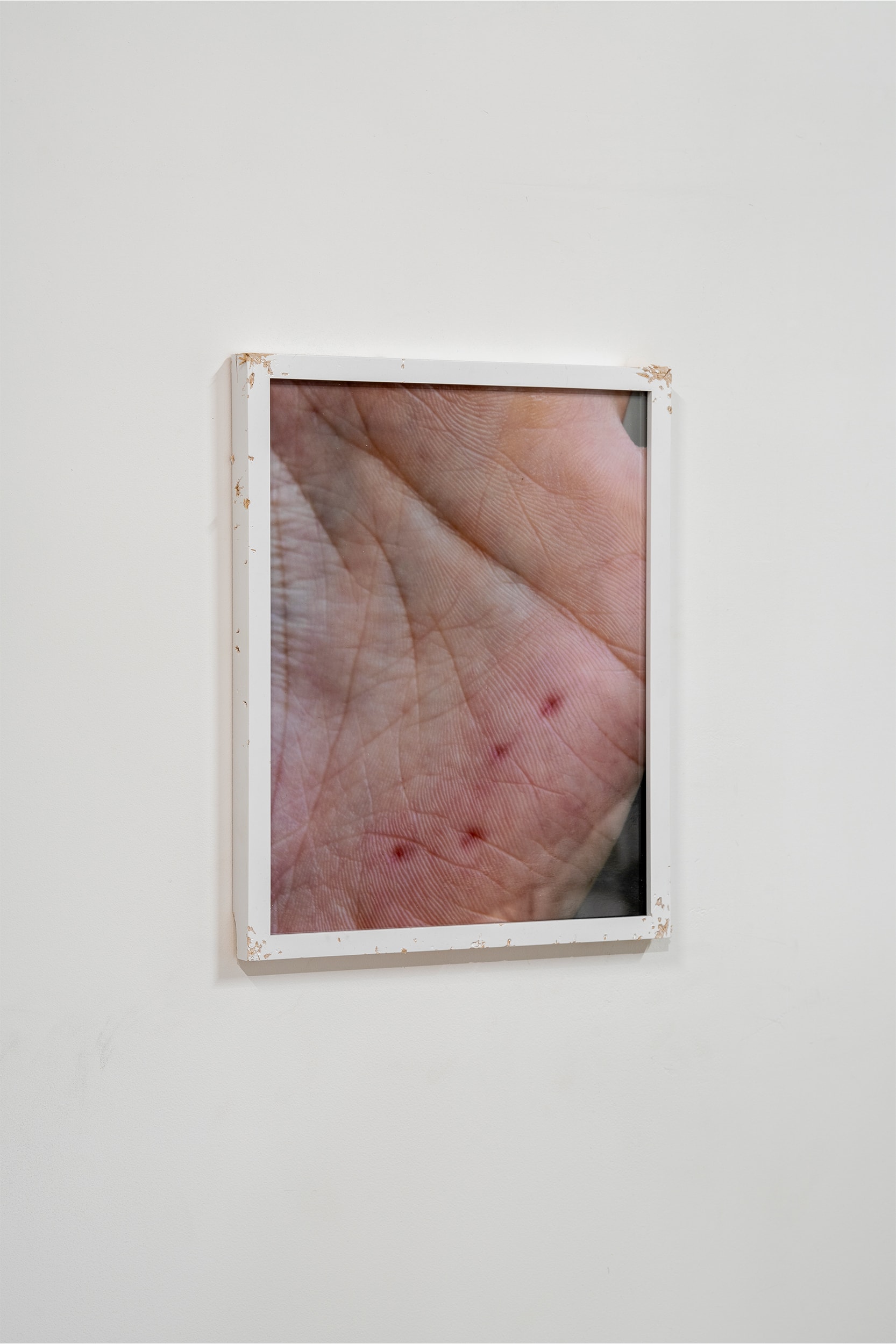 Taiki Yokote CON_ parcel Tokyo Exhibitions Art Artworks