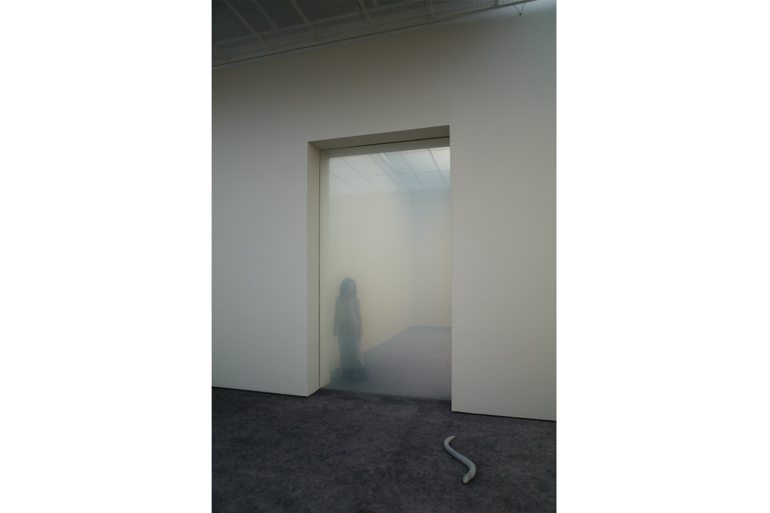 Pierre Huyghe Exhibition Fondation Beyeler Switzerland Art Artworks