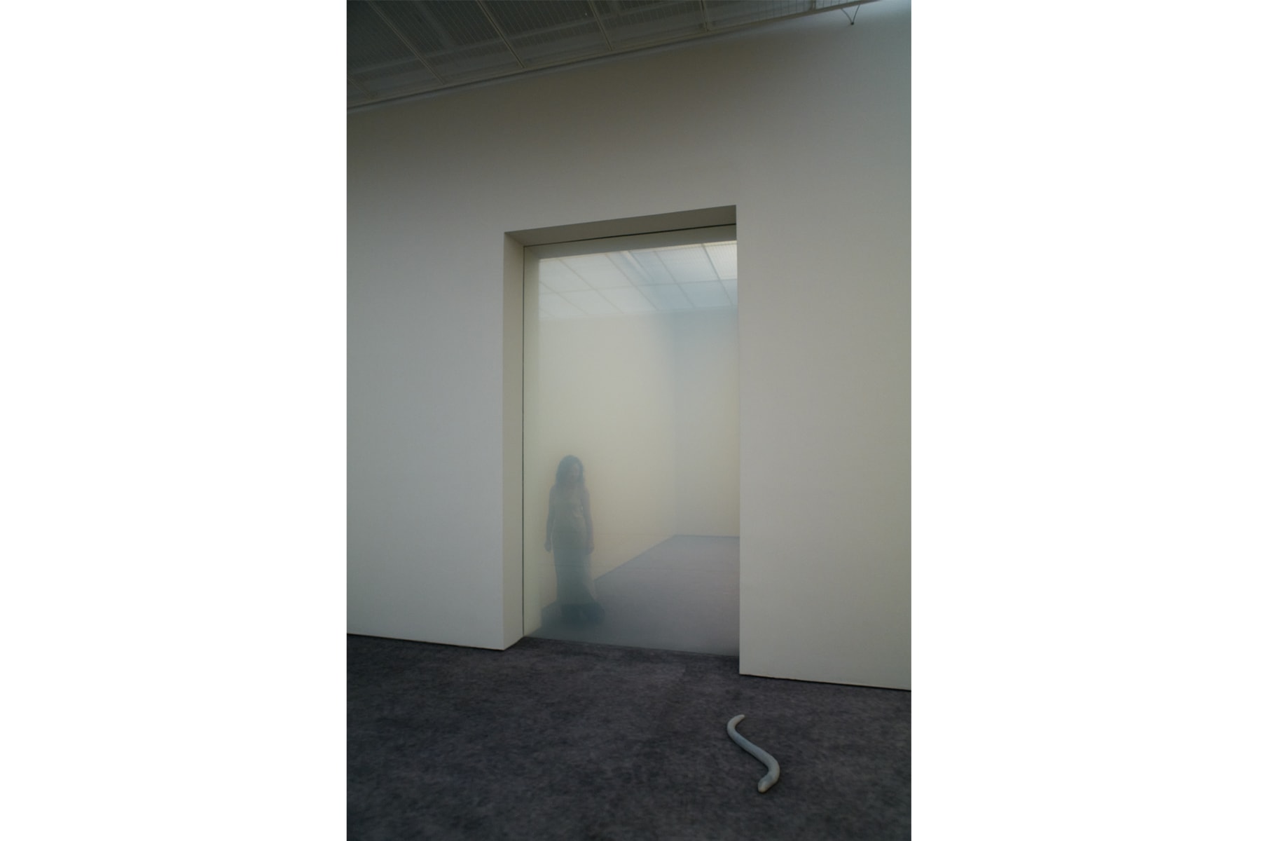 Pierre Huyghe Exhibition Fondation Beyeler Switzerland Art Artworks