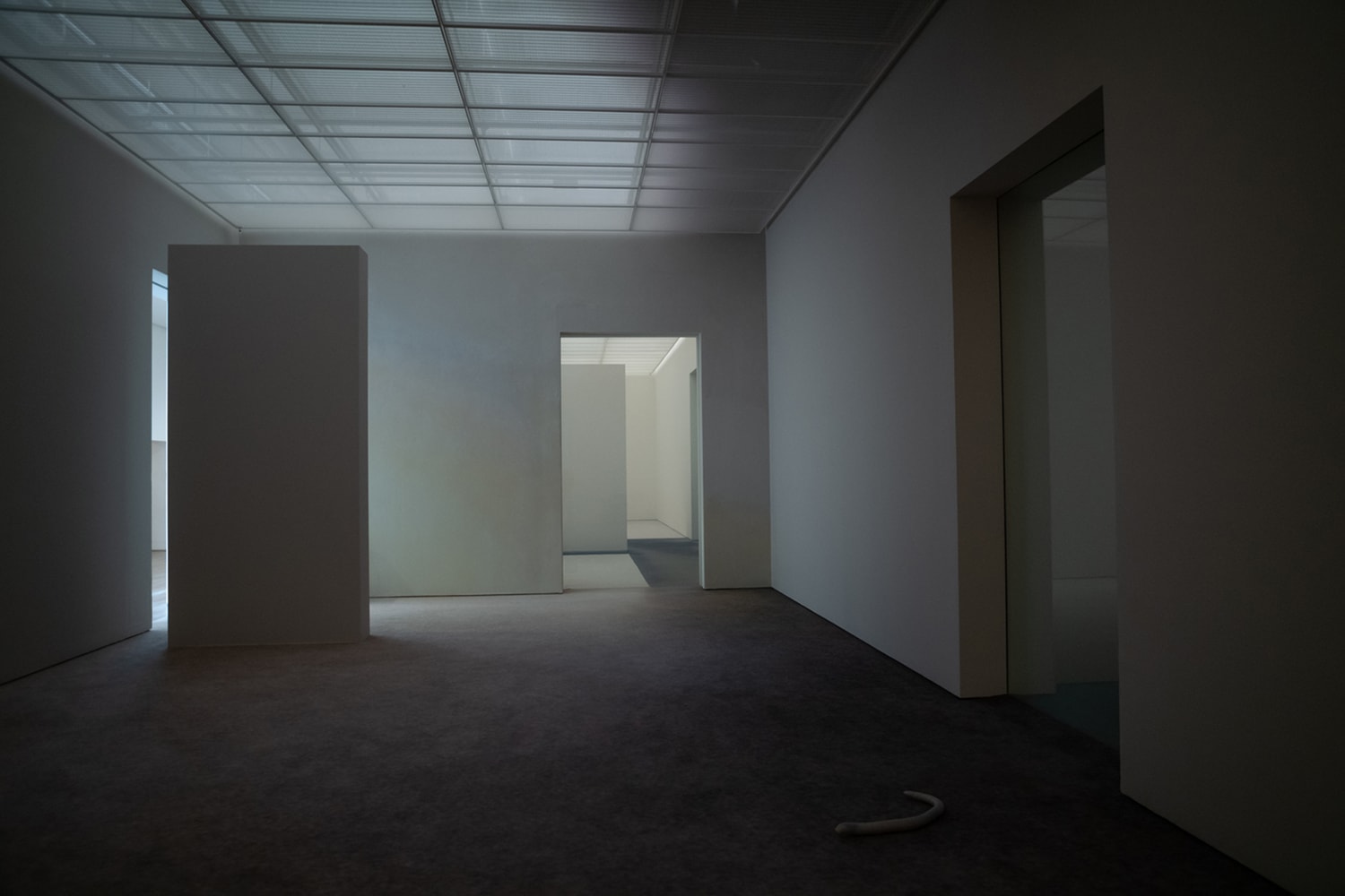 Pierre Huyghe Exhibition Fondation Beyeler Switzerland Art Artworks
