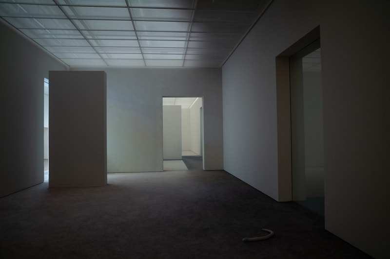 Pierre Huyghe Exhibition Fondation Beyeler Switzerland Art Artworks