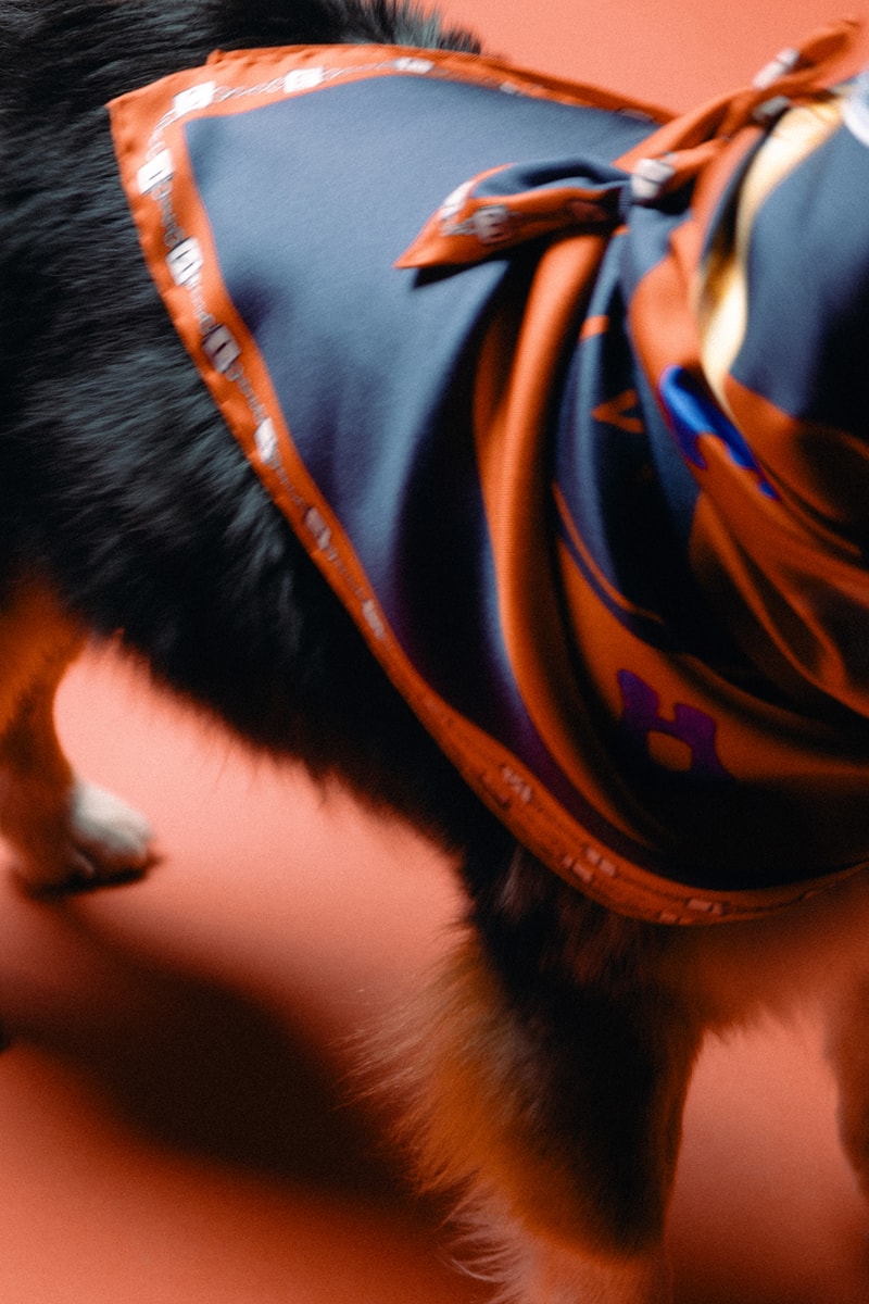 Celine Infinite Possibilities Silk Scarf Campaign