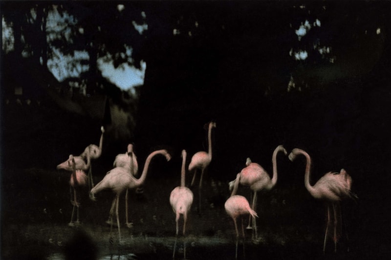 Photography Exhibitions Les Rencontres d’Arles 2026