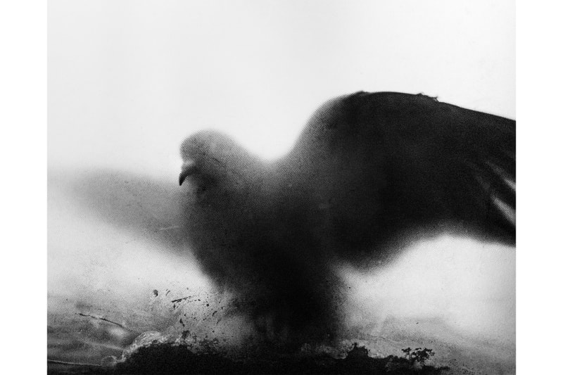 Photography Exhibitions Les Rencontres d’Arles 2026