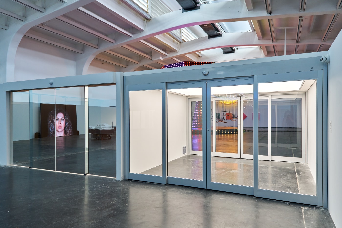 Carsten Holler 'Two' First Major Solo Exhibition China  UCCA Beijing Info