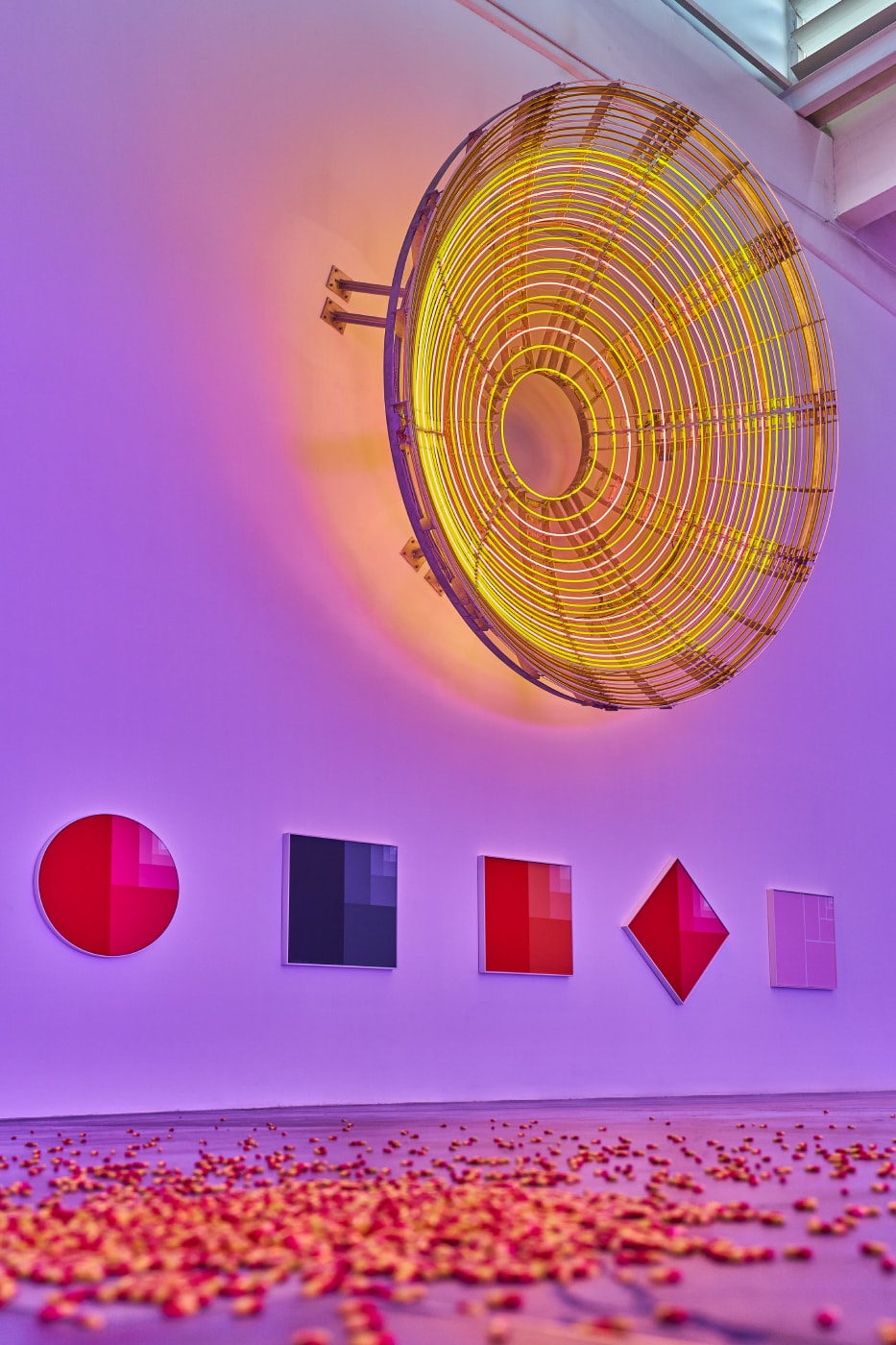 Carsten Holler 'Two' First Major Solo Exhibition China  UCCA Beijing Info