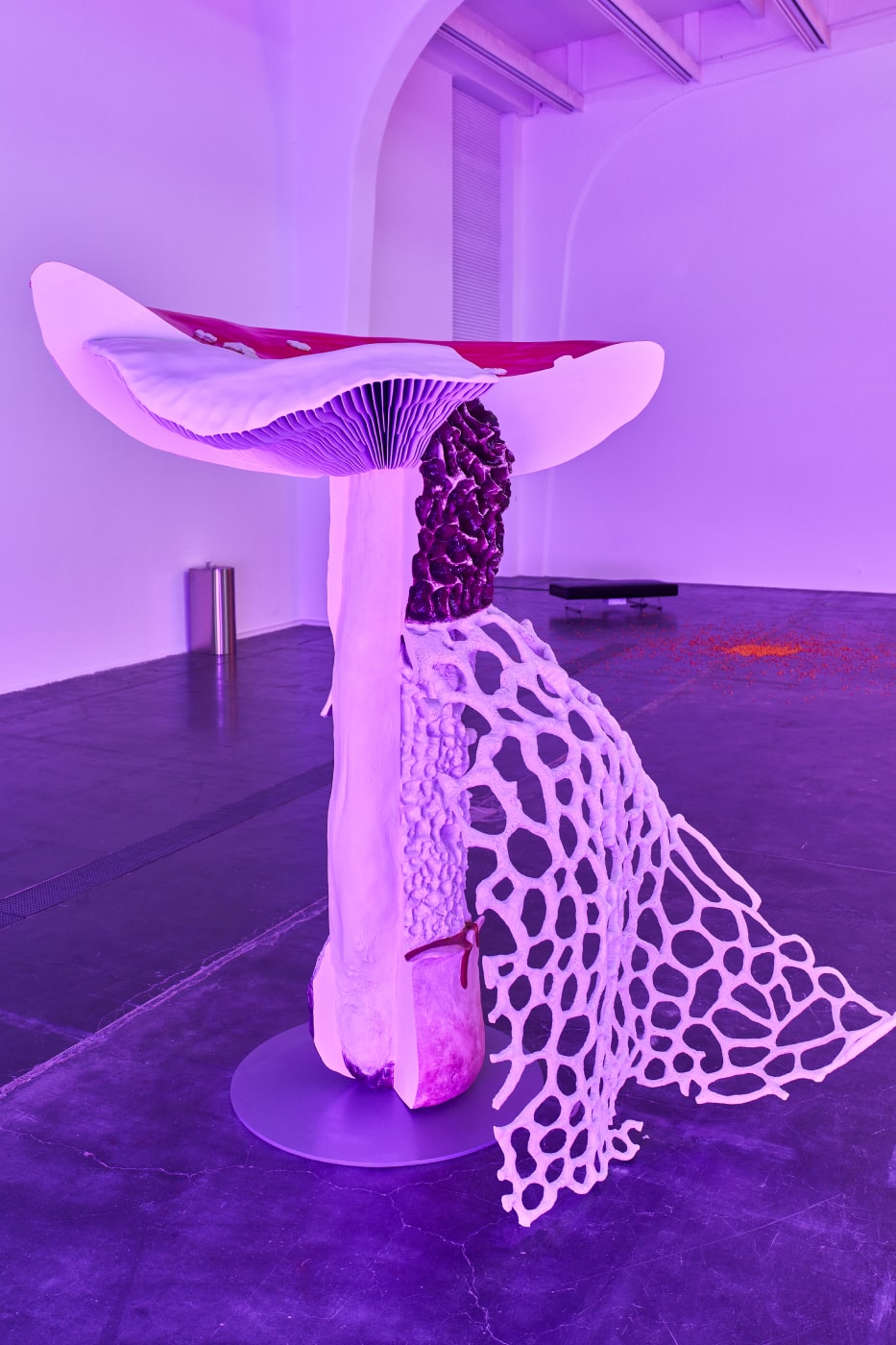 Carsten Holler 'Two' First Major Solo Exhibition China  UCCA Beijing Info