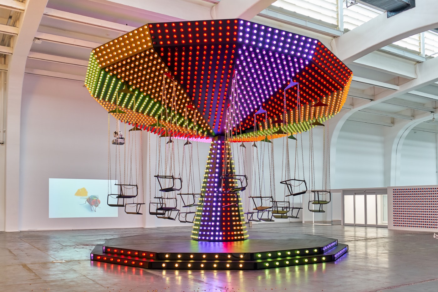 Carsten Holler 'Two' First Major Solo Exhibition China  UCCA Beijing Info
