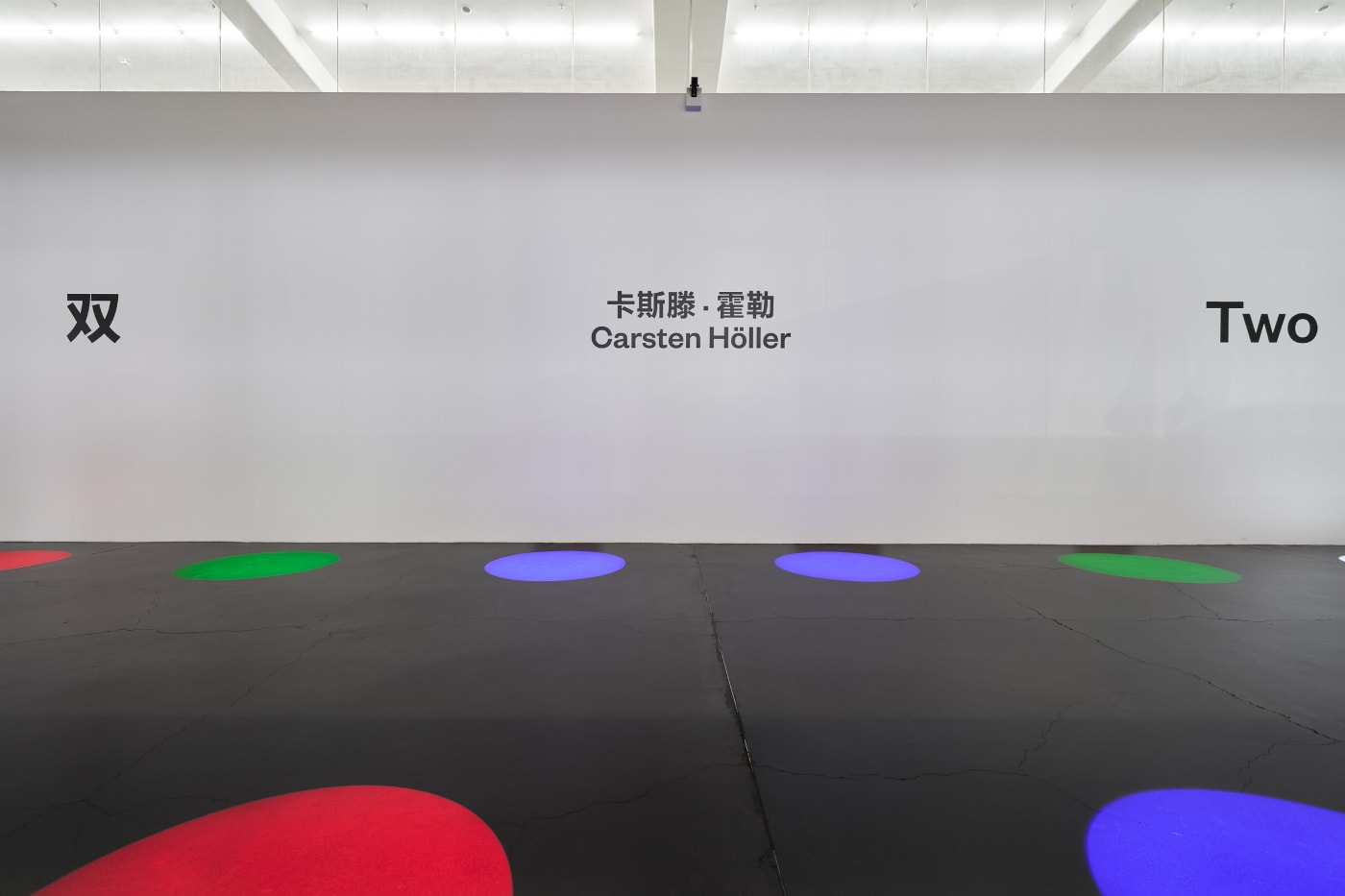 Carsten Holler 'Two' First Major Solo Exhibition China  UCCA Beijing Info