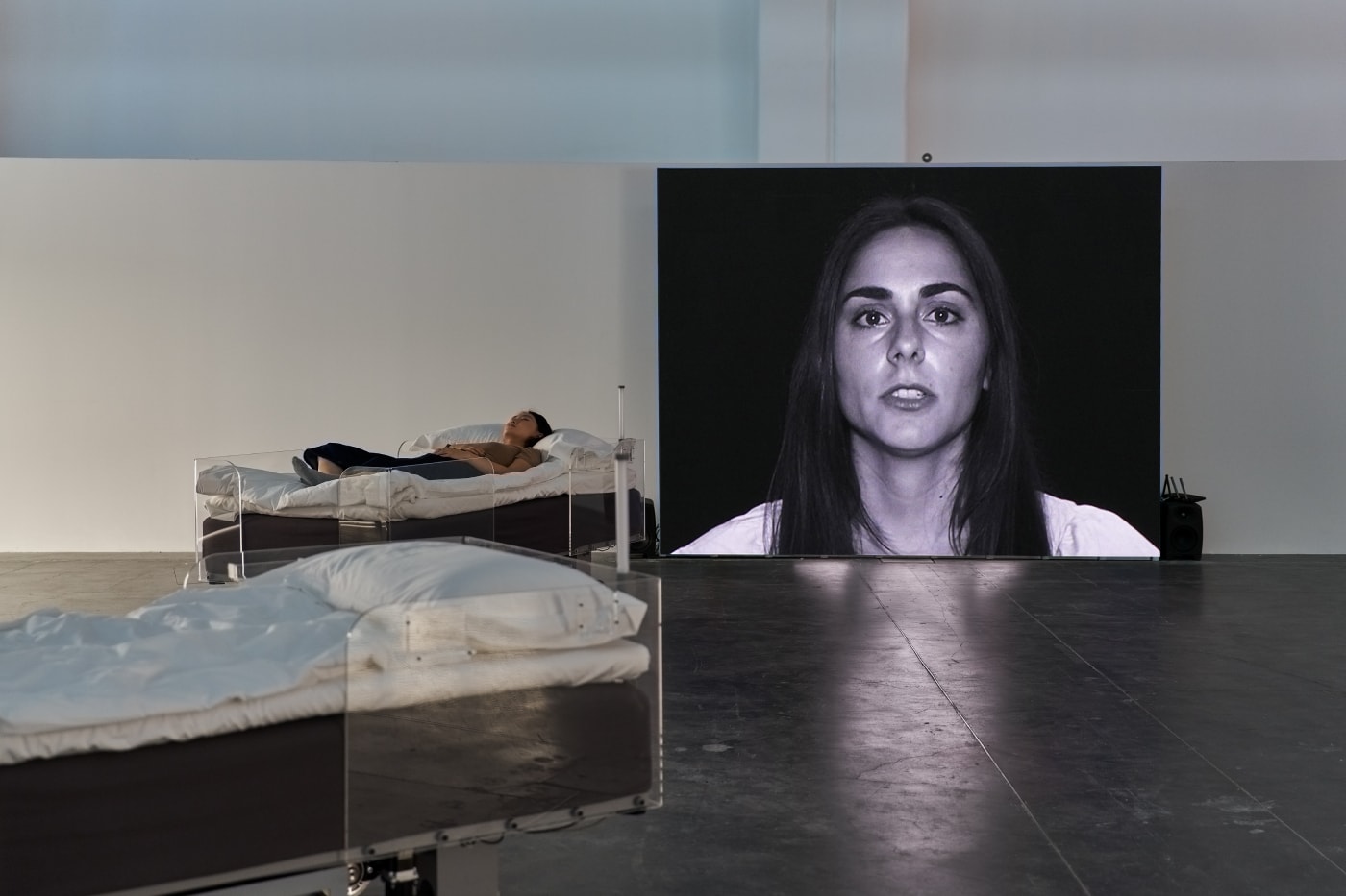 Carsten Holler 'Two' First Major Solo Exhibition China  UCCA Beijing Info
