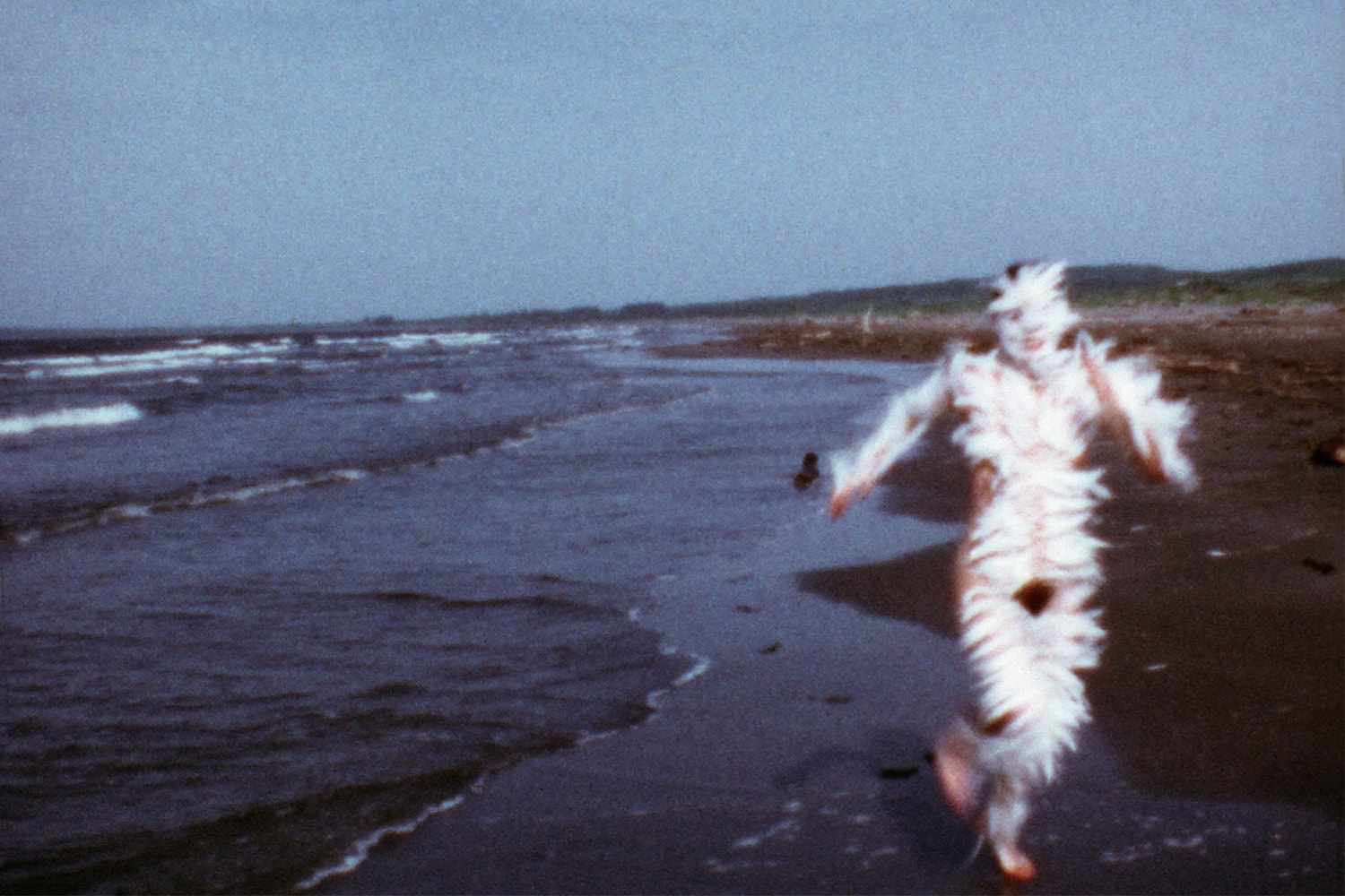 Tate Modern Ana Mendieta Art Artworks Retrospective London 2026