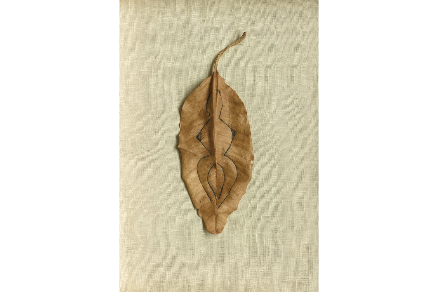 Tate Modern Ana Mendieta Art Artworks Retrospective London 2026