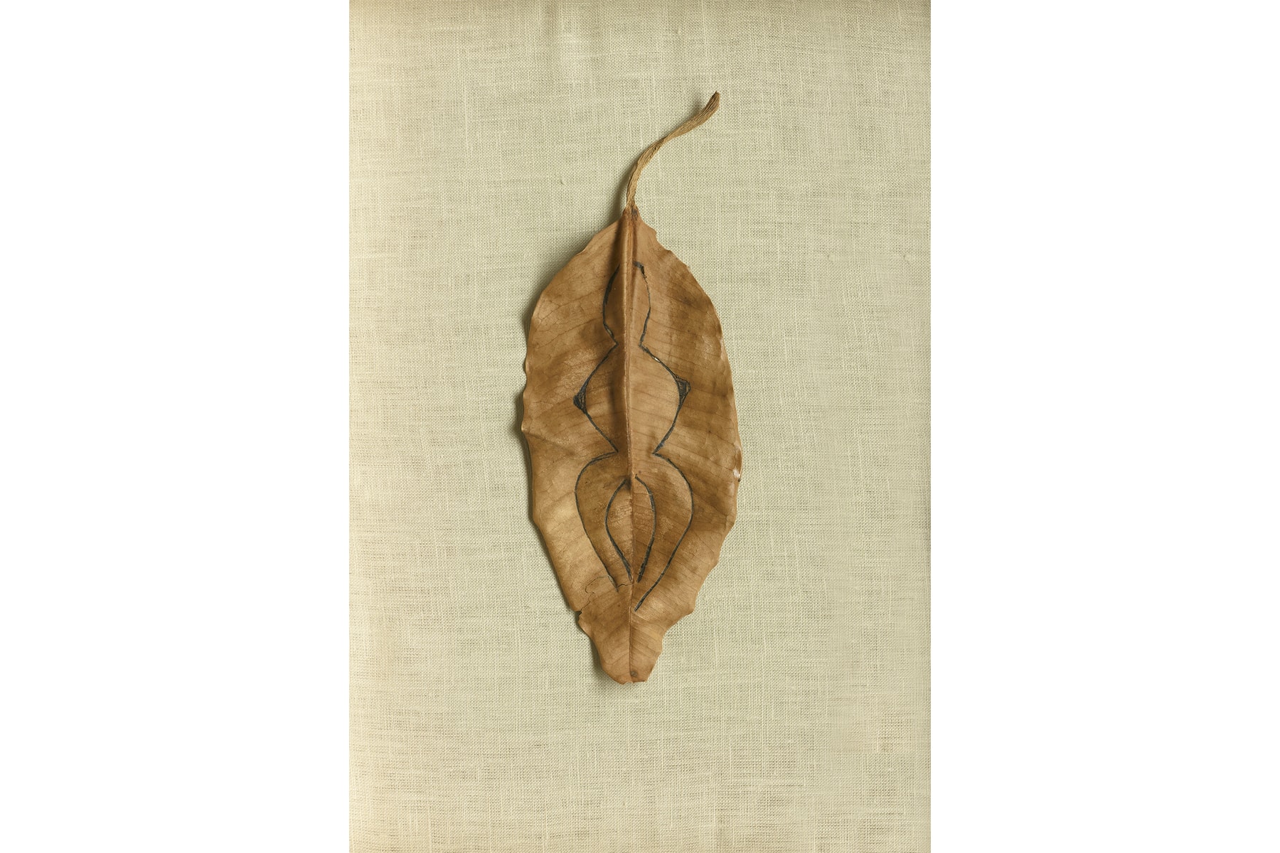 Tate Modern Ana Mendieta Art Artworks Retrospective London 2026